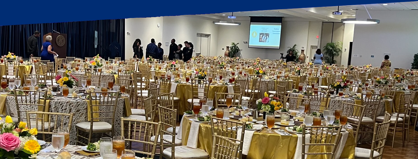 Weddings & Galas